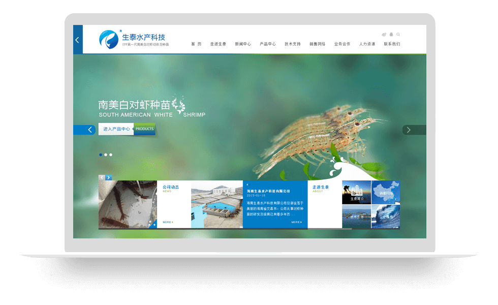 海南生泰水產產品展示網站建設